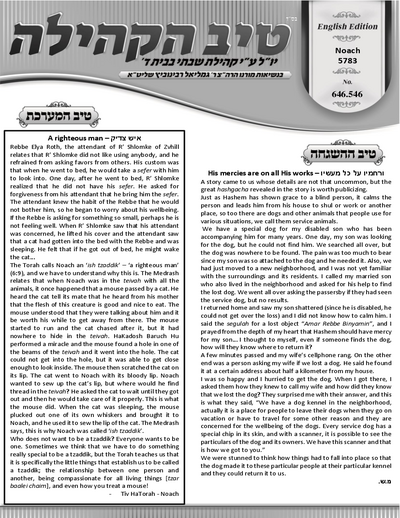 טיב הקהילה English — Parshas Noach