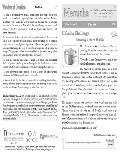 Menucha Magazine — Parshas Pinchas