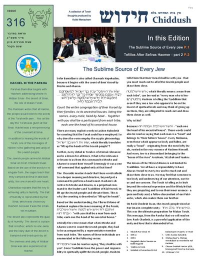 The Weekly Chiddush — Parshas Bamidbar