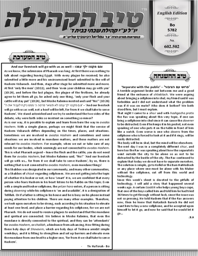 טיב הקהילה English — Parshas Bo