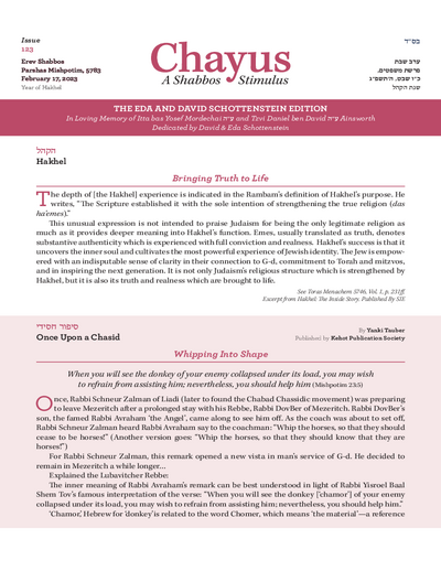 Chayus — Parshas Mishpatim