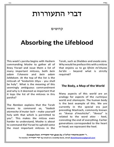 PDF Preview