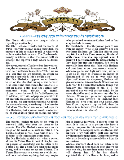 Ohr Hachaim Hakadosh — Parshas Ki Teitzei