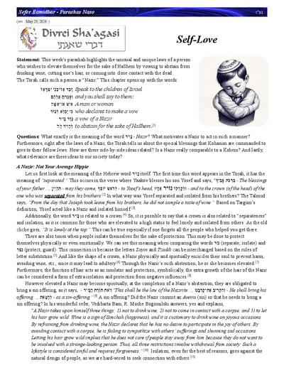 Divrei Shaagasi — Parshas Naso