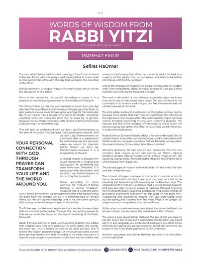 PDF Preview