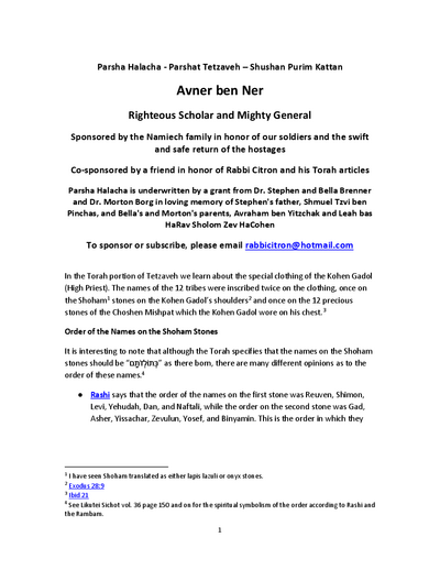 PDF Preview