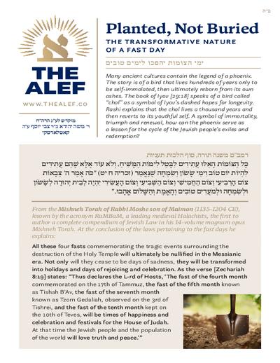 The Alef — Parshas Matos-Massei