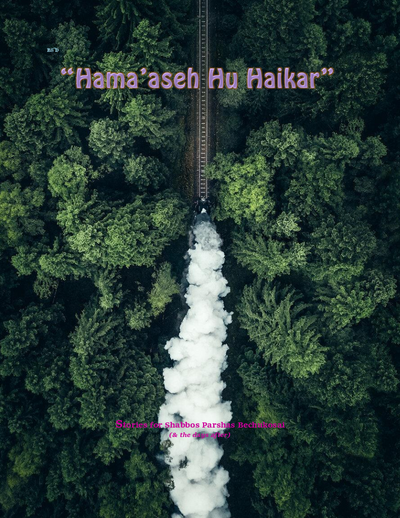 Hama'aseh Hu Haikar — Parshas Bamidbar