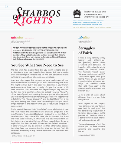 Shabbos Lights — Parshas Noach