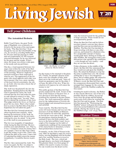 PDF Preview