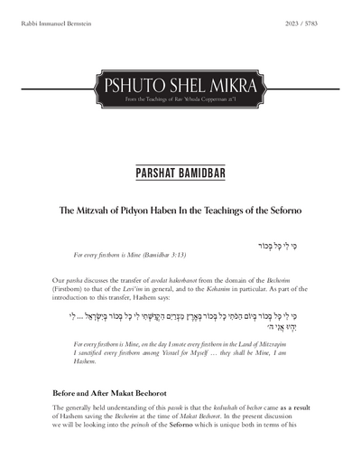 Meshech Chochma — Parshas Bamidbar