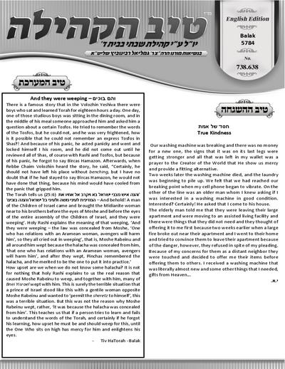 טיב הקהילה English — Parshas Balak