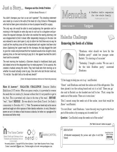 Menucha Magazine — Parshas Vayigash