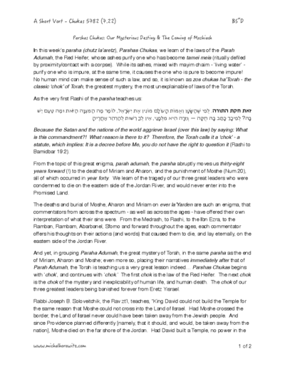 Michal Horowitz - Shiurim & Classes — Parshas Chukas