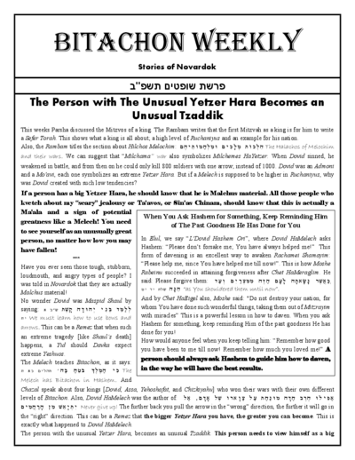 Bitachon Weekly — Parshas Shoftim