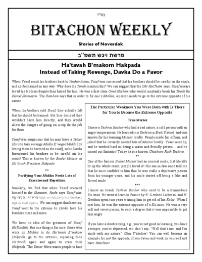 Bitachon Weekly — Parshas Vayigash