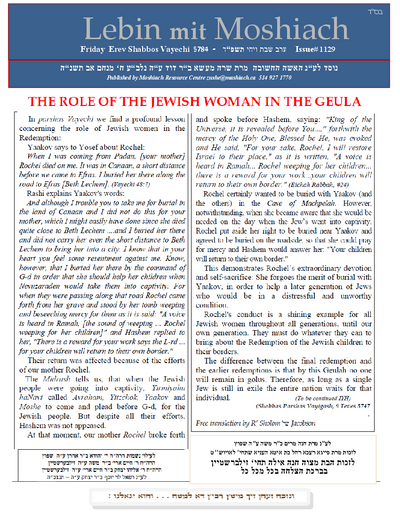 PDF Preview
