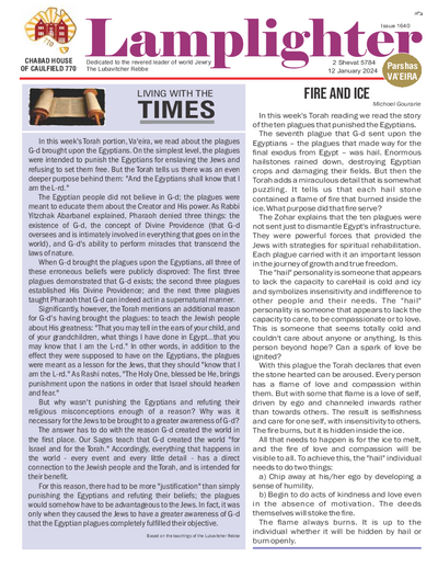 PDF Preview