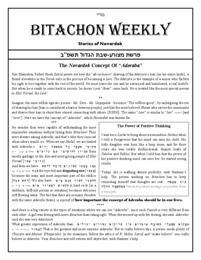 Bitachon Weekly — Parshas Metzora