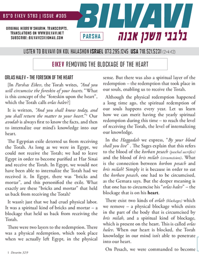 PDF Preview