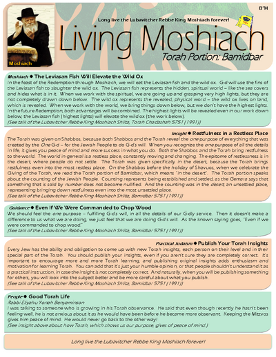 Living Moshiach — Parshas Bamidbar