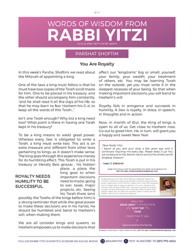 Words of Wisdom from Rabbi Yitzi — Parshas Shoftim