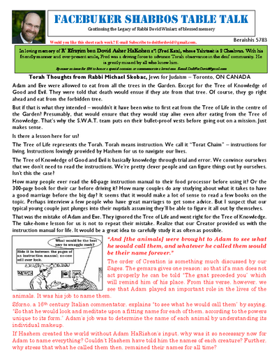 Facebuker Shabbos Table Talk — Parshas Bereishis