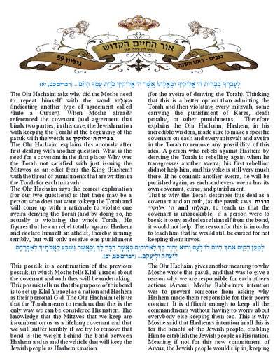 Ohr Hachaim Hakadosh — Parshas Nitzavim