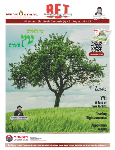 BET Journal — Parshas Shoftim