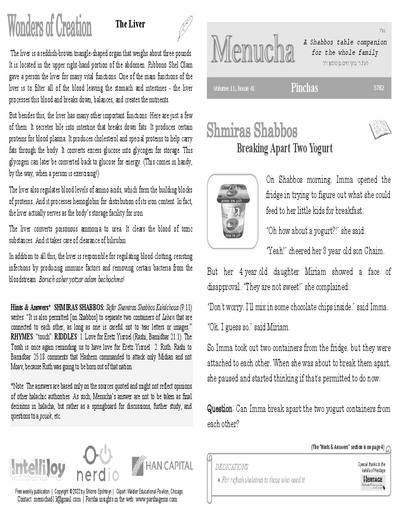 Menucha Magazine — Parshas Pinchas