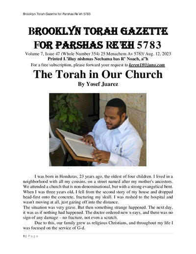 PDF Preview