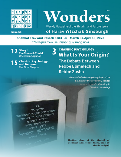 Wonders — Parshas Tsav