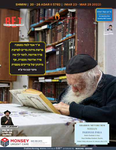 BET Journal — Parshas Shemini