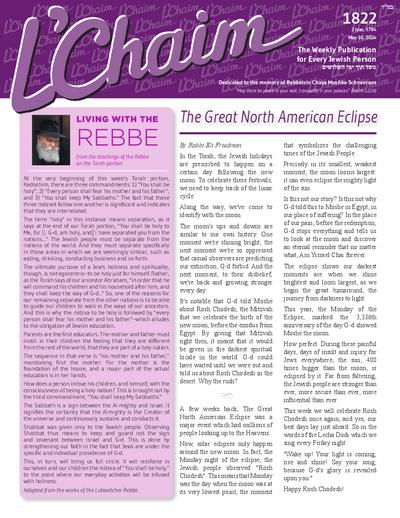 PDF Preview