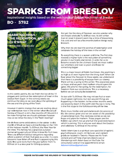 Sparks from Breslov — Parshas Bechukosai