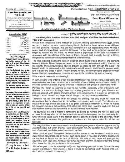 PDF Preview
