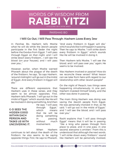 Words of Wisdom from Rabbi Yitzi — Parshas Bo