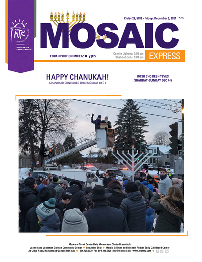 Mosaic Express — Parshas Mikeitz