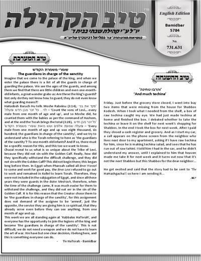 טיב הקהילה English — Parshas Bamidbar