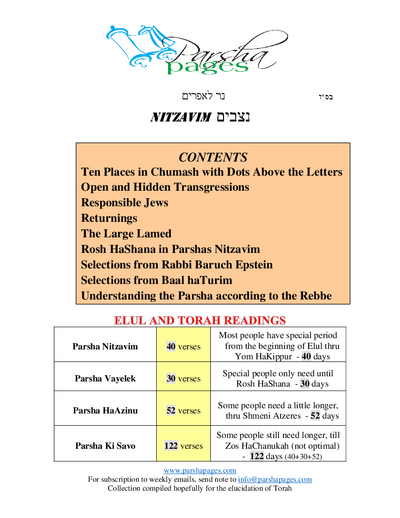 Parsha Pages — Parshas Nitzavim