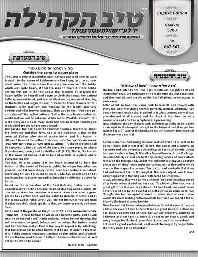 טיב הקהילה English — Parshas Vayikra