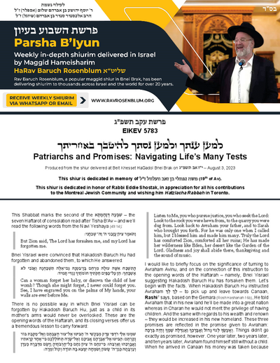 PDF Preview