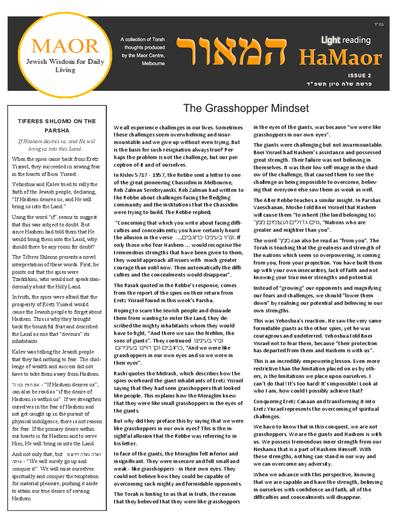 PDF Preview