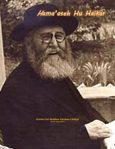 Hama'aseh Hu Haikar — Parshas Chukas