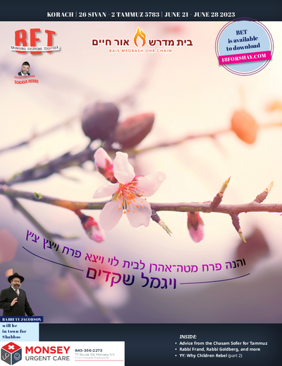 BET Journal — Parshas Korach