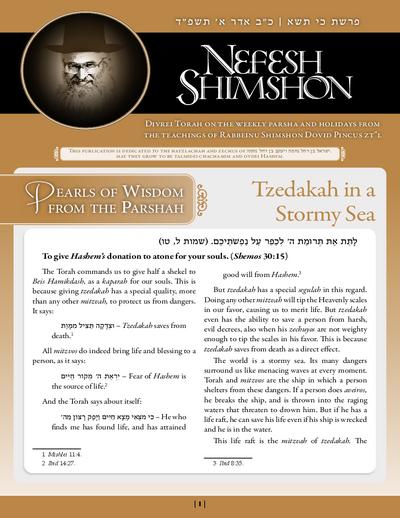 Nefesh Shimshon — Parshas Ki Sisa