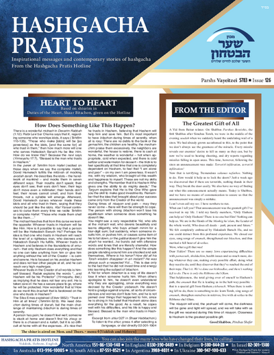 PDF Preview