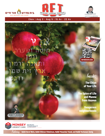 PDF Preview