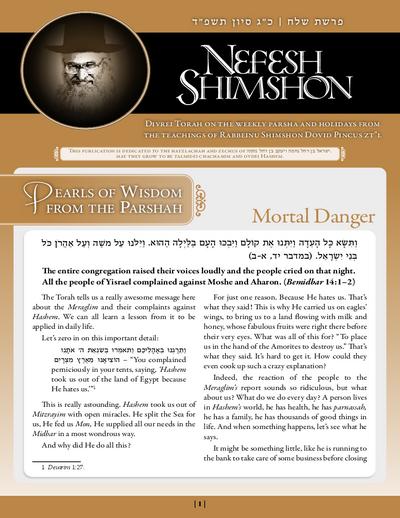 Nefesh Shimshon — Parshas Shlach