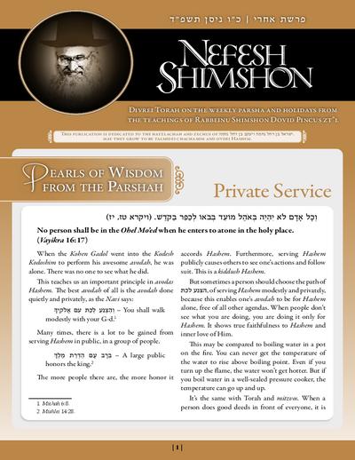 Nefesh Shimshon — Parshas Acharei Mos